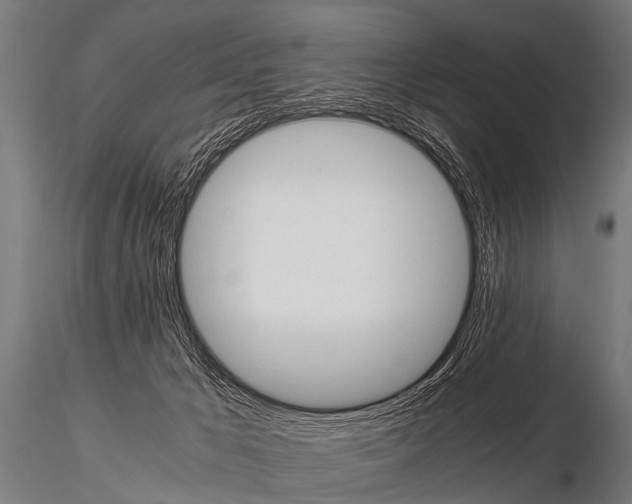 X0000115210029200912091208