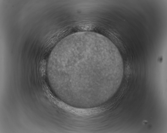 X0000115210030200912091208