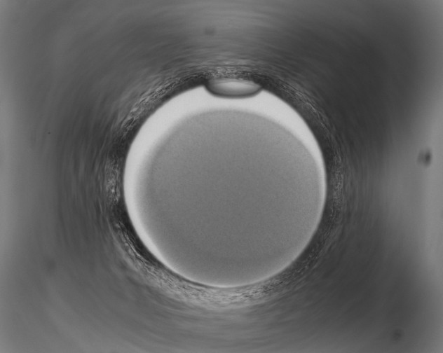 X0000115210031200912091208