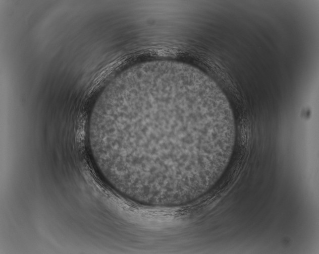 X0000115210032200912091208