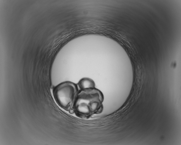 X0000115210033200912091208