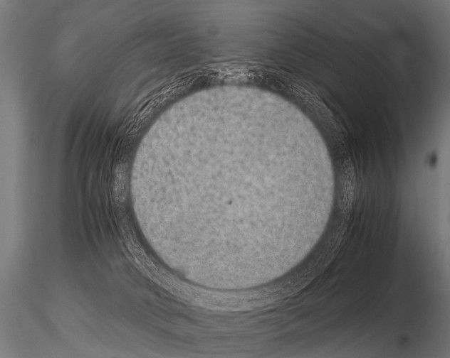 X0000115210034200912091208