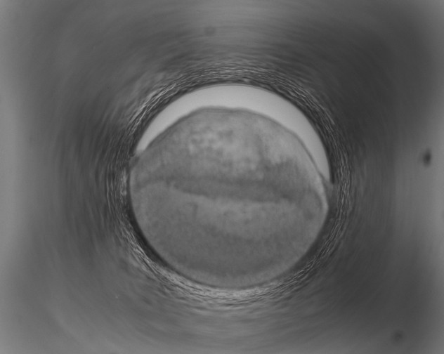 X0000115210035200912091208