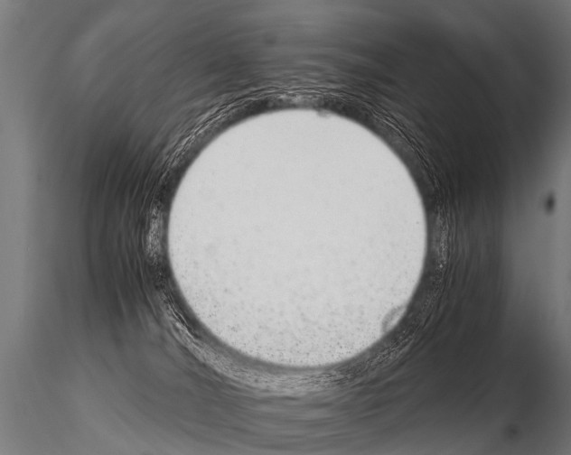 X0000115210036200912091208