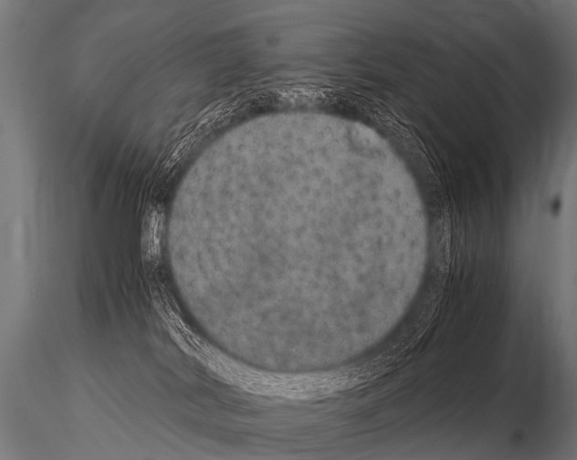 X0000115210038200912091208