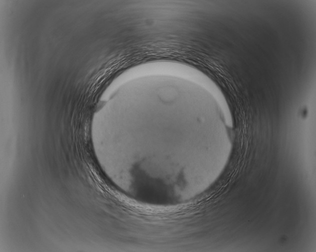 X0000115210039200912091208