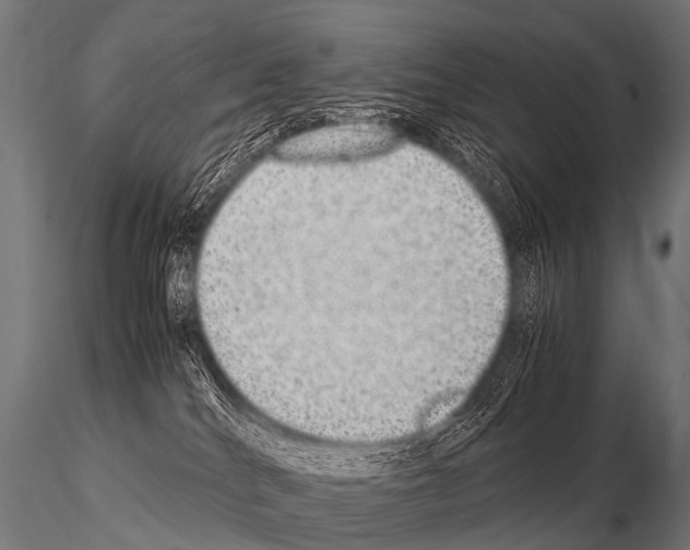 X0000115210040200912091208