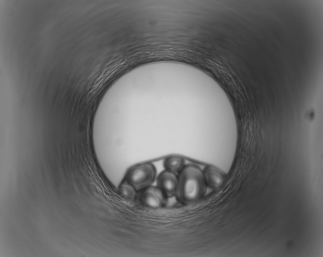 X0000115210041200912091208