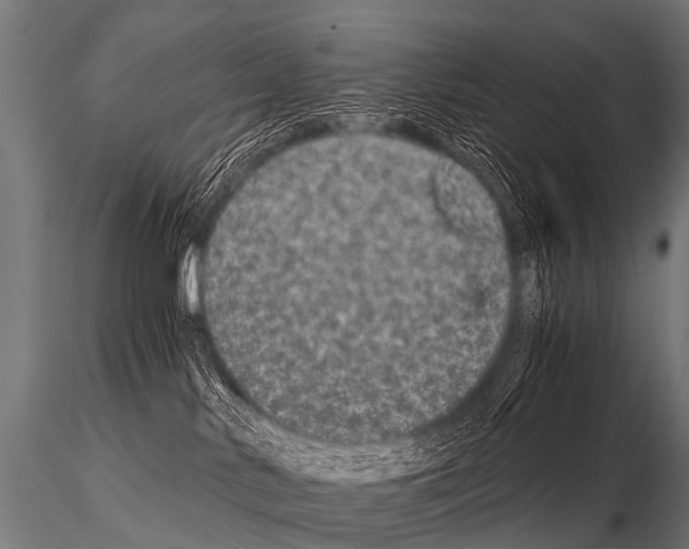 X0000115210042200912091208