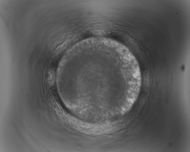 X0000115210043200912091208