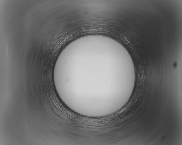 X0000115210045200912091208