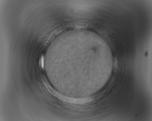 X0000115210046200912091208