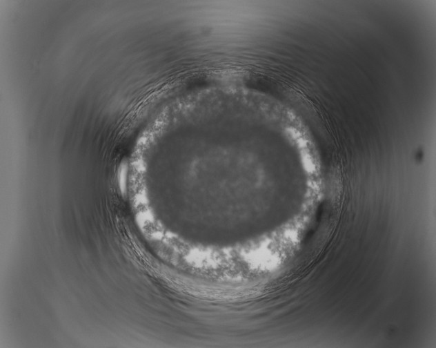 X0000115210047200912091208