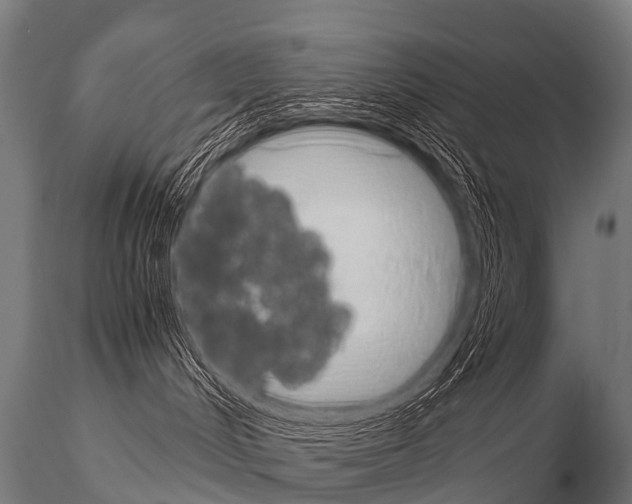 X0000115210048200912091208