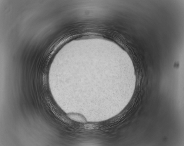 X0000115210050200912091207