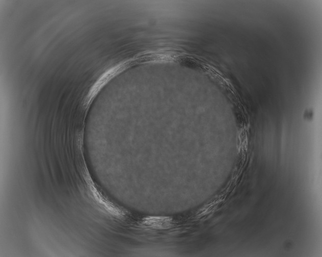 X0000115210051200912091207