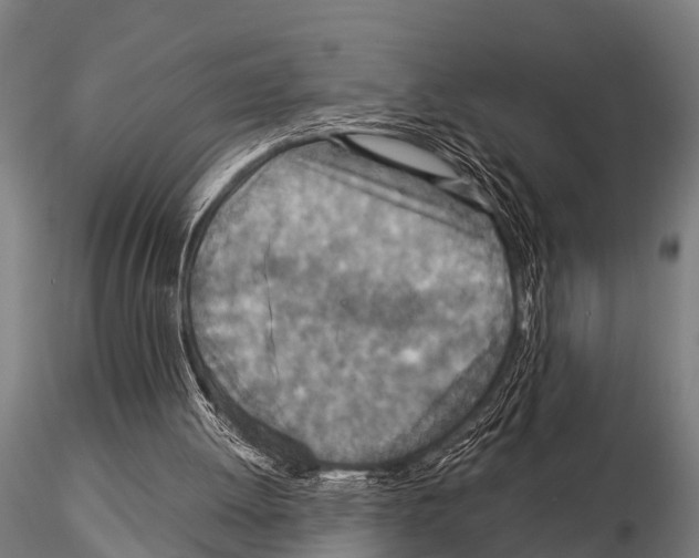 X0000115210052200912091207