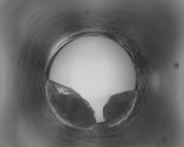 X0000115210053200912091207