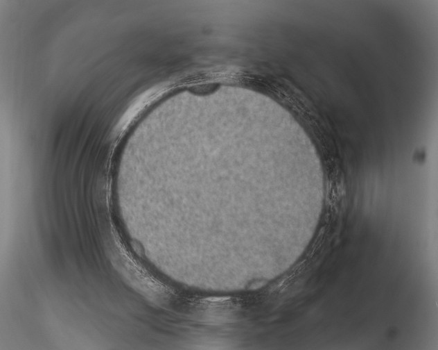 X0000115210054200912091207