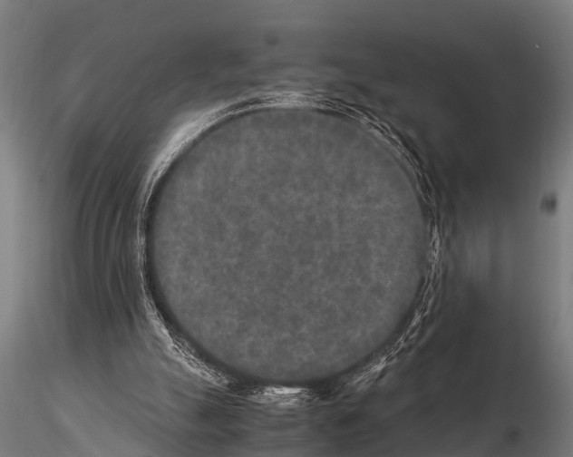 X0000115210055200912091207