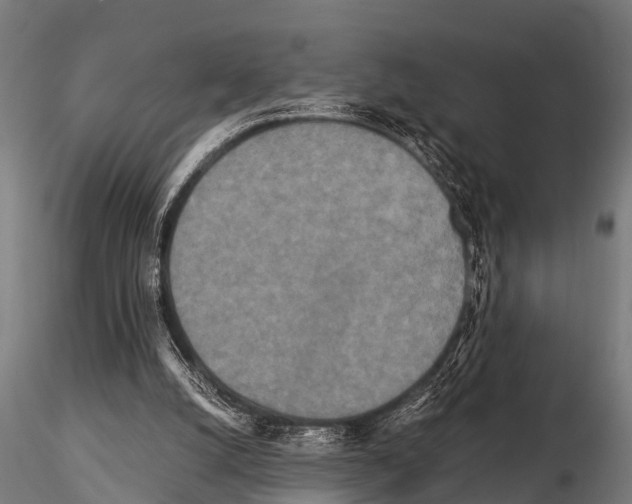 X0000115210056200912091207