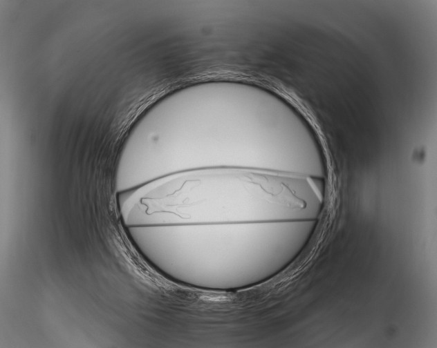 X0000115210057200912091207