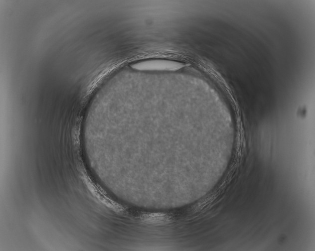 X0000115210058200912091207