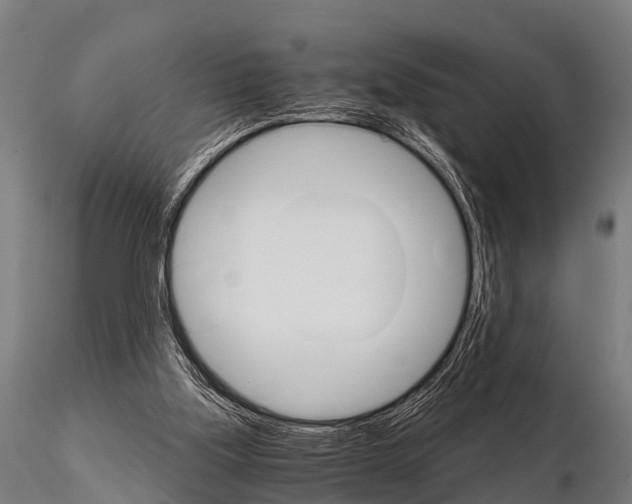 X0000115210059200912091207