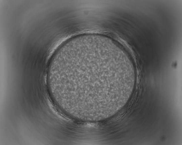 X0000115210060200912091207