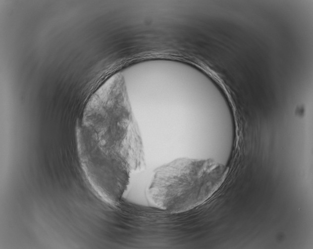 X0000115210061200912091207