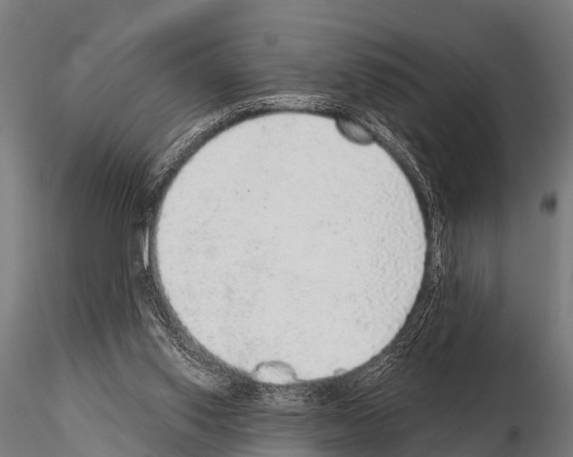 X0000115210062200912091207