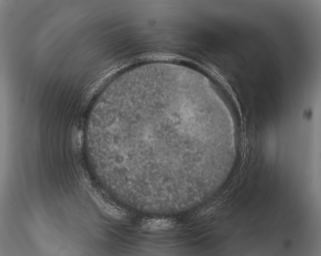 X0000115210063200912091207