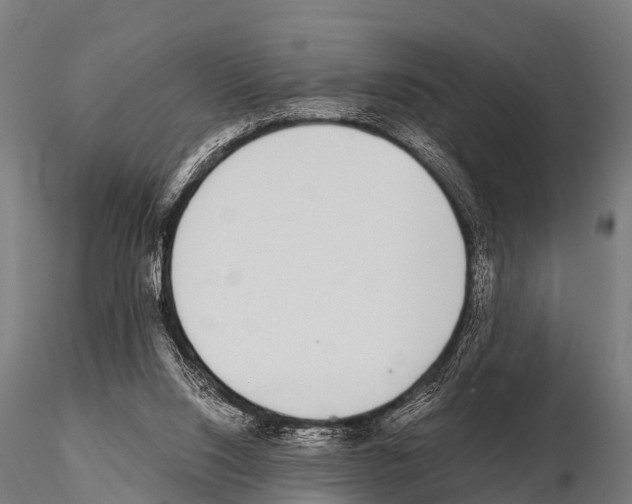 X0000115210064200912091207