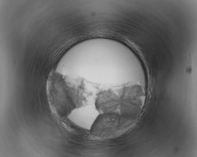 X0000115210065200912091207