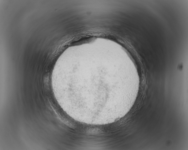 X0000115210066200912091207