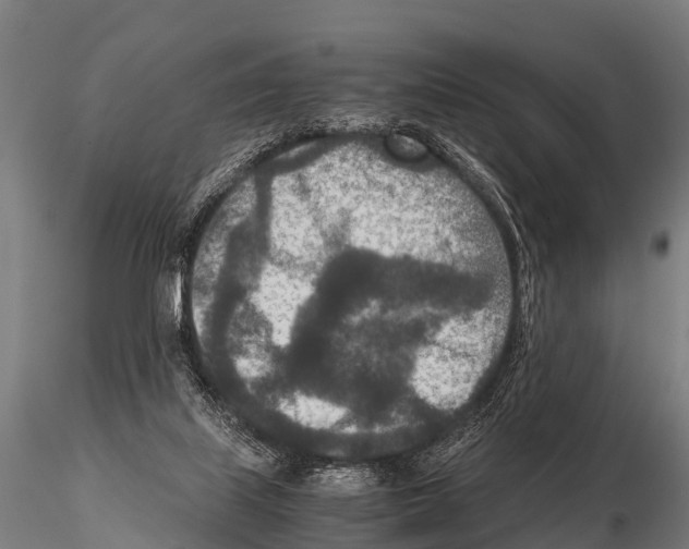 X0000115210067200912091207