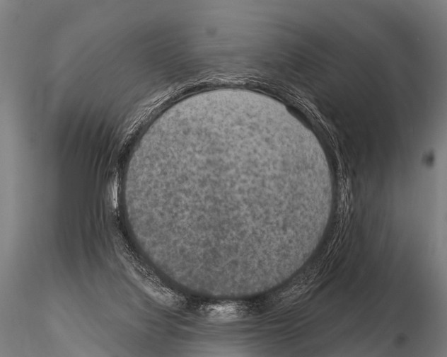 X0000115210068200912091207