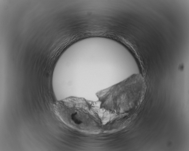 X0000115210069200912091207