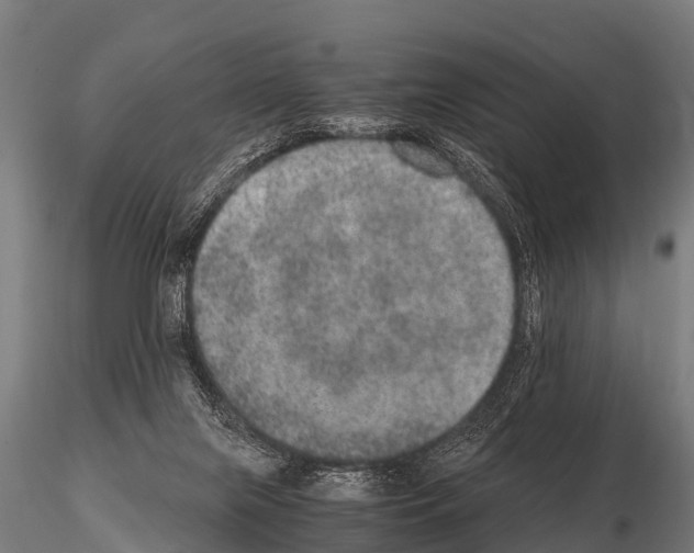 X0000115210071200912091207