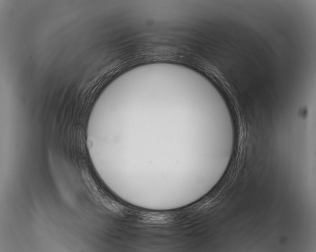 X0000115210073200912091207