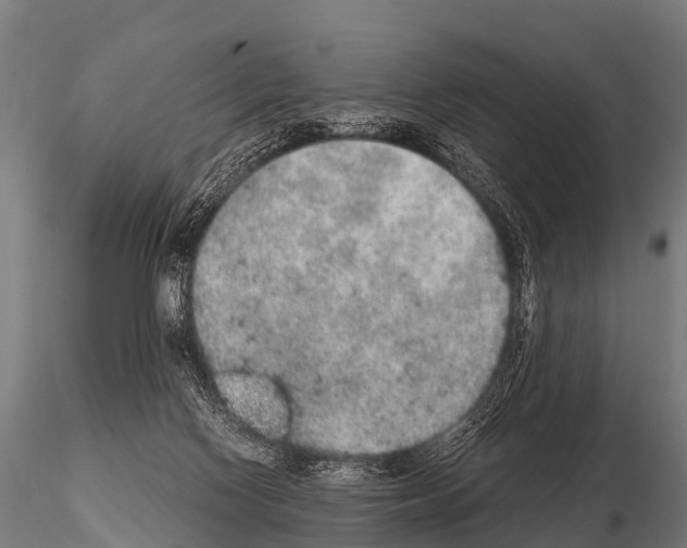 X0000115210074200912091207