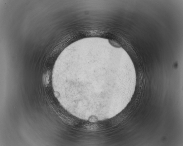 X0000115210075200912091207