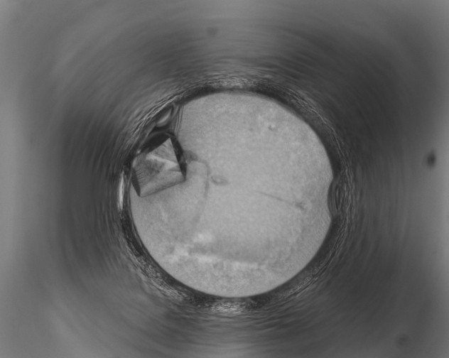 X0000115210076200912091207