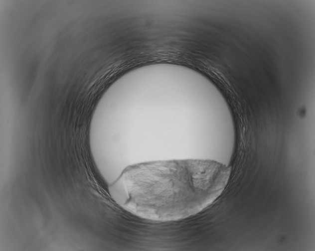 X0000115210077200912091208