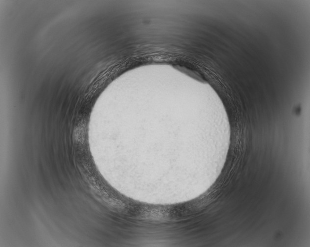 X0000115210078200912091208