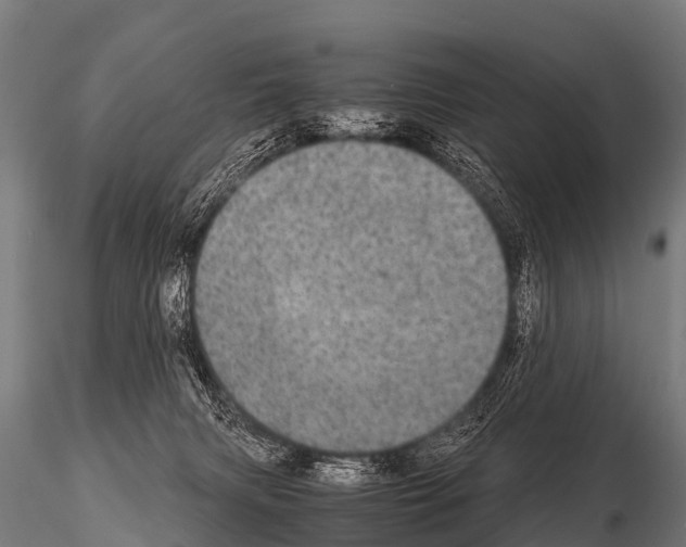 X0000115210079200912091208