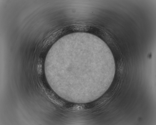 X0000115210080200912091208