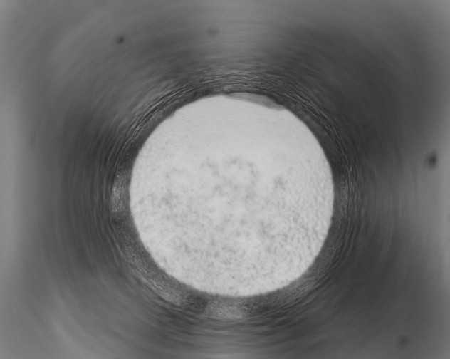 X0000115210082200912091208