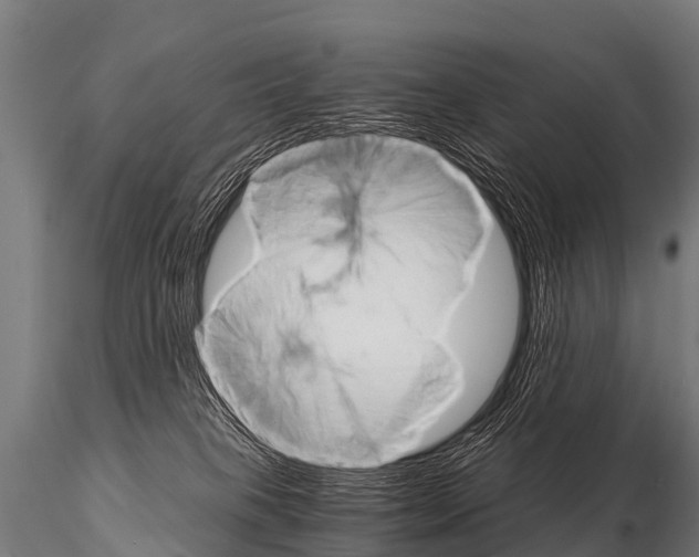 X0000115210085200912091208