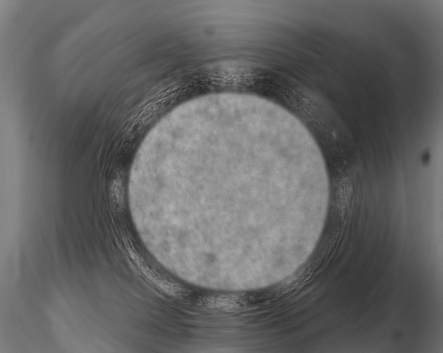 X0000115210086200912091208